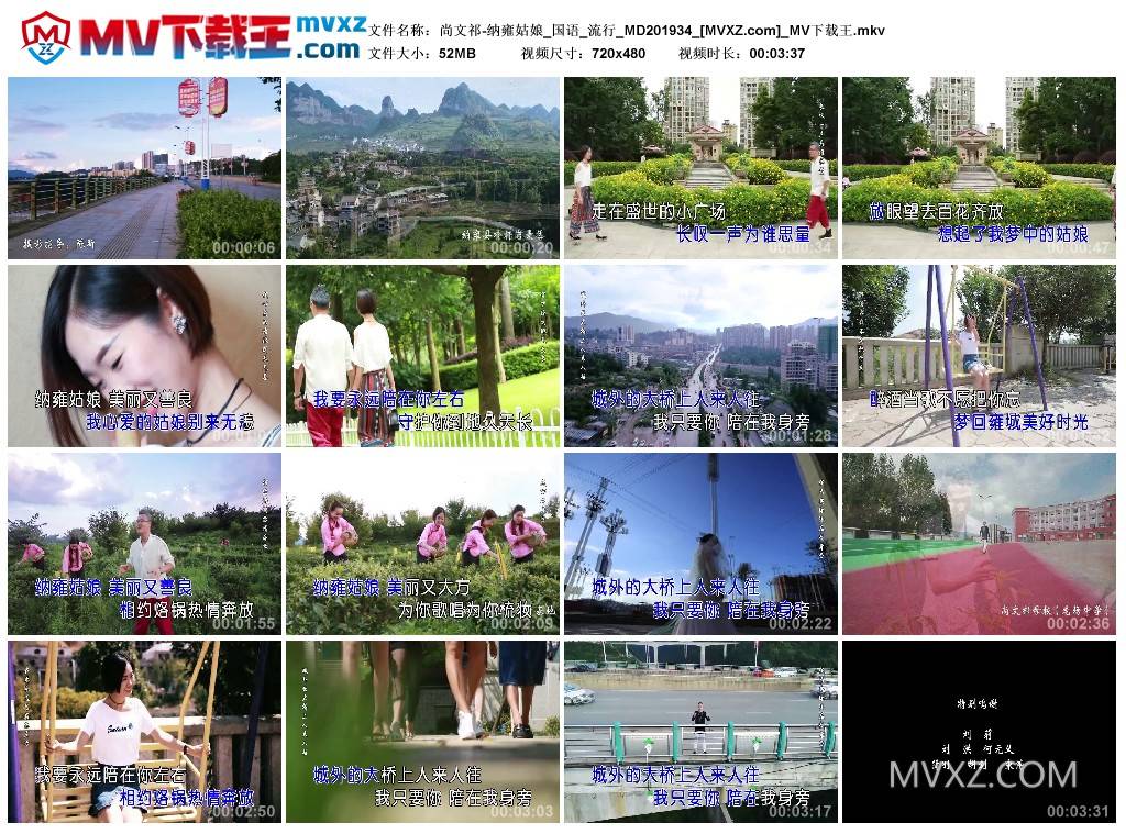 尚文祁-纳雍姑娘_国语_流行_MD201934